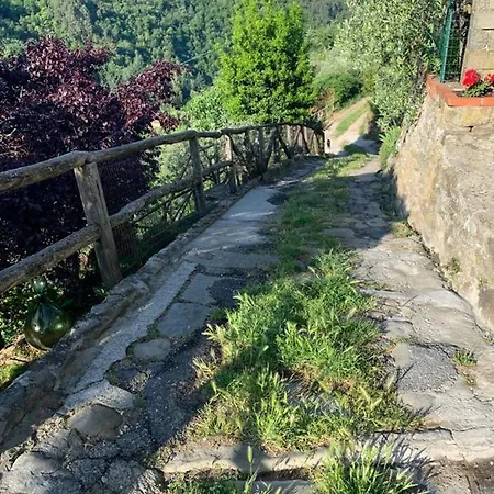 Appartement Casa Tasso *