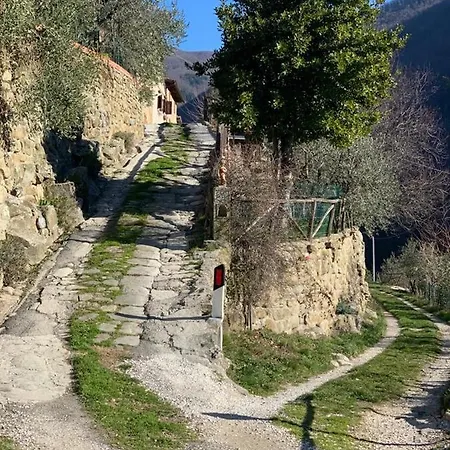 Casa Tasso *